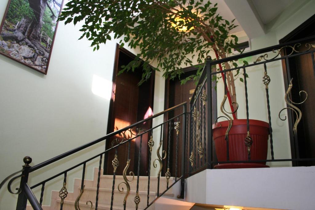 Family Hotel Zora Razlog Exterior photo